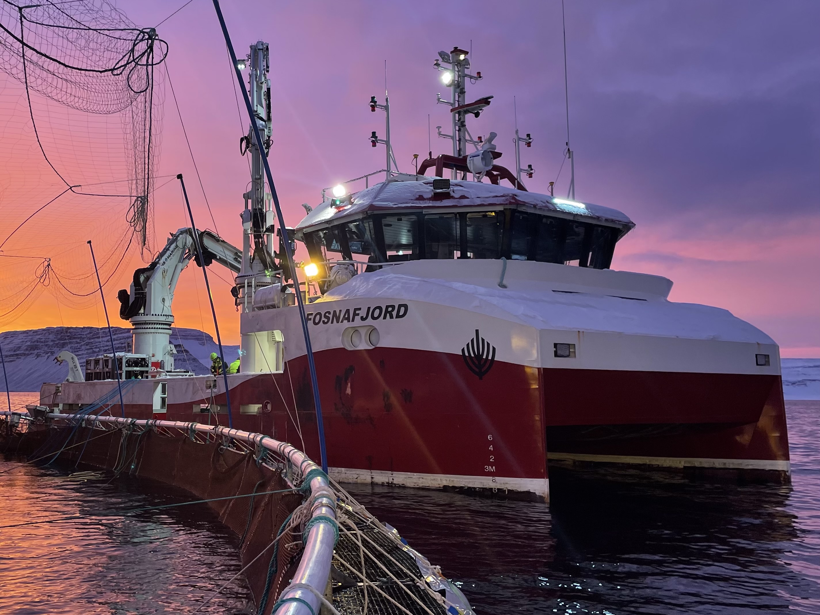 Arcus acquires Ayss Arcus acquires Ayss